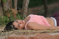 Bhaja Bhajantrilu Movie Spicy Stills